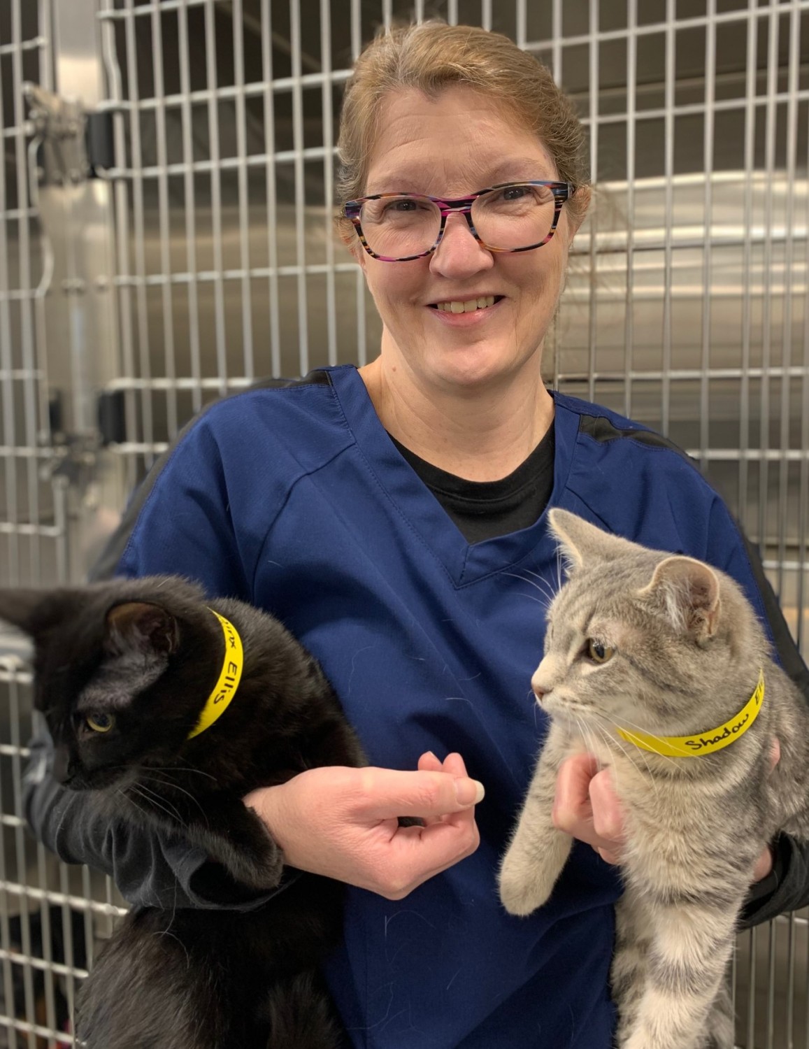 Cindy Partello, CVT Veterinary Technician